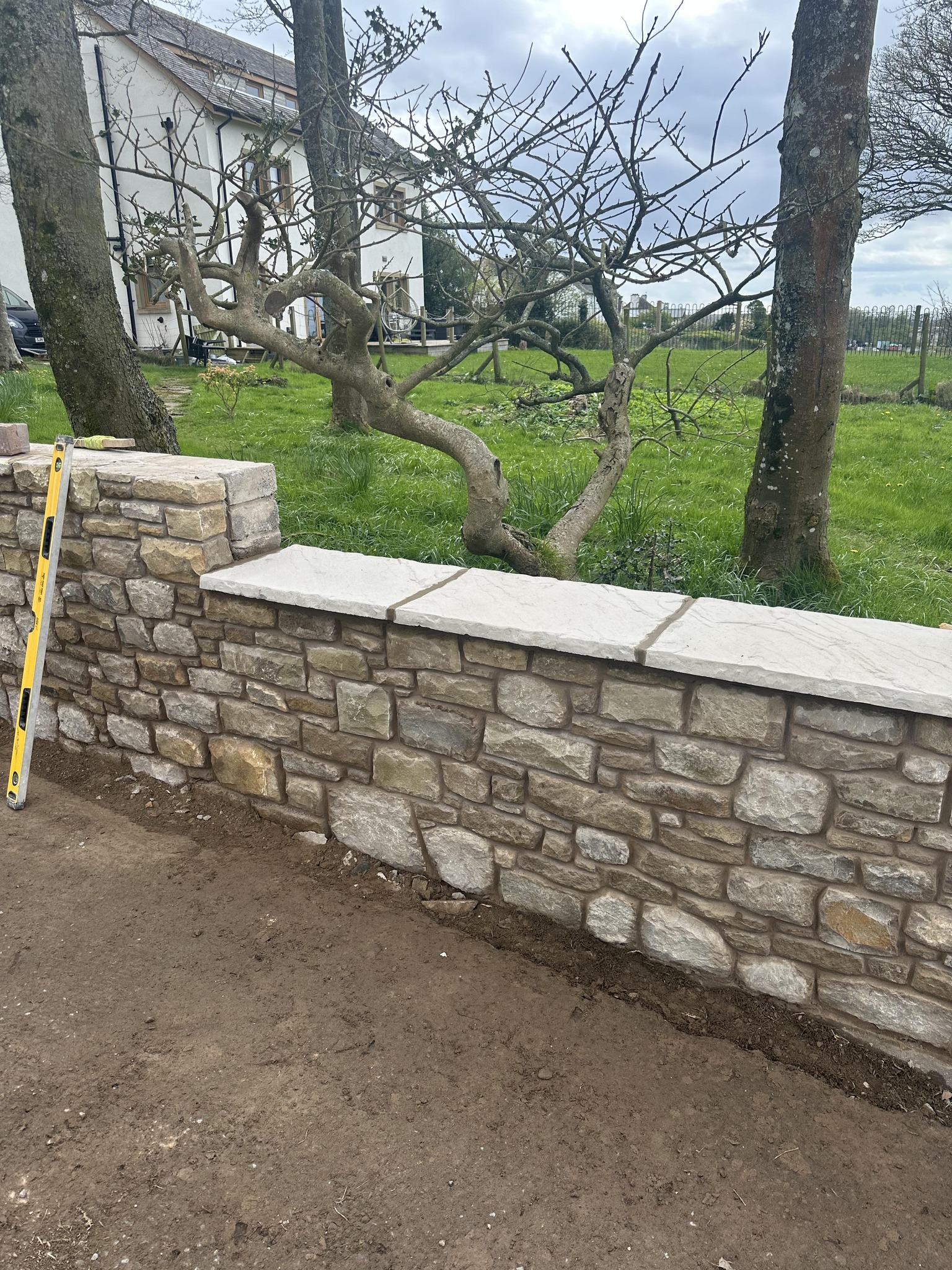 Natural Stone Wall & Coping